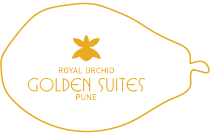 Golden Suit Pune - Top 5 Digital Marketing company in Pune client